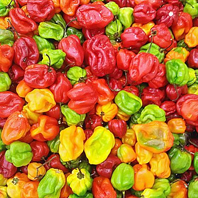 chilli