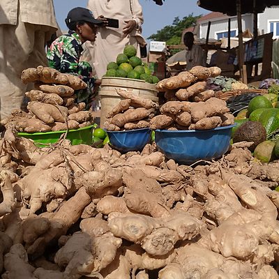 ginger-fresh